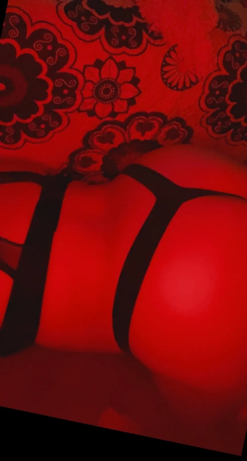 TigOl’BittieGF OnlyFans header