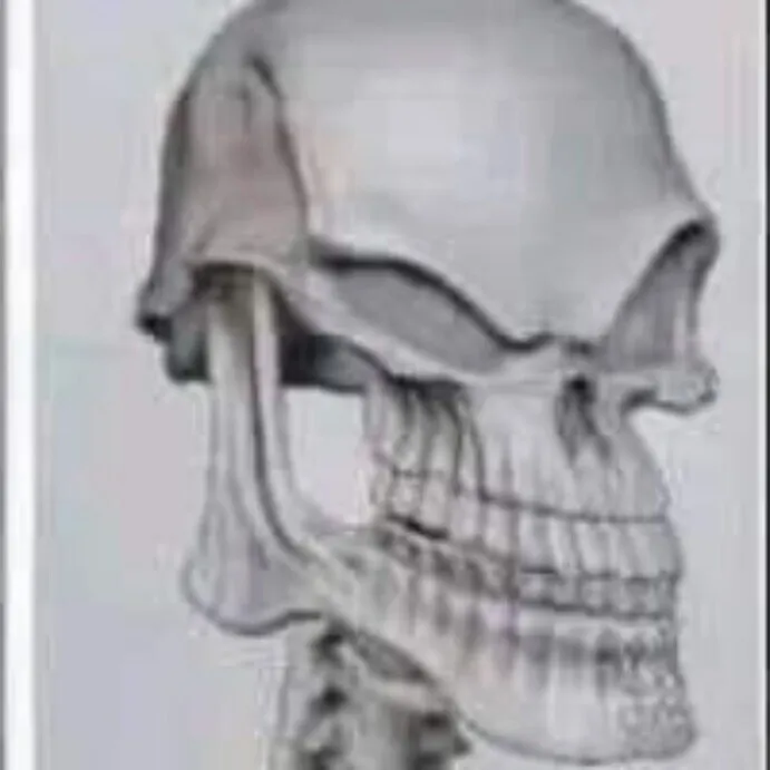 Bootylover OnlyFans header