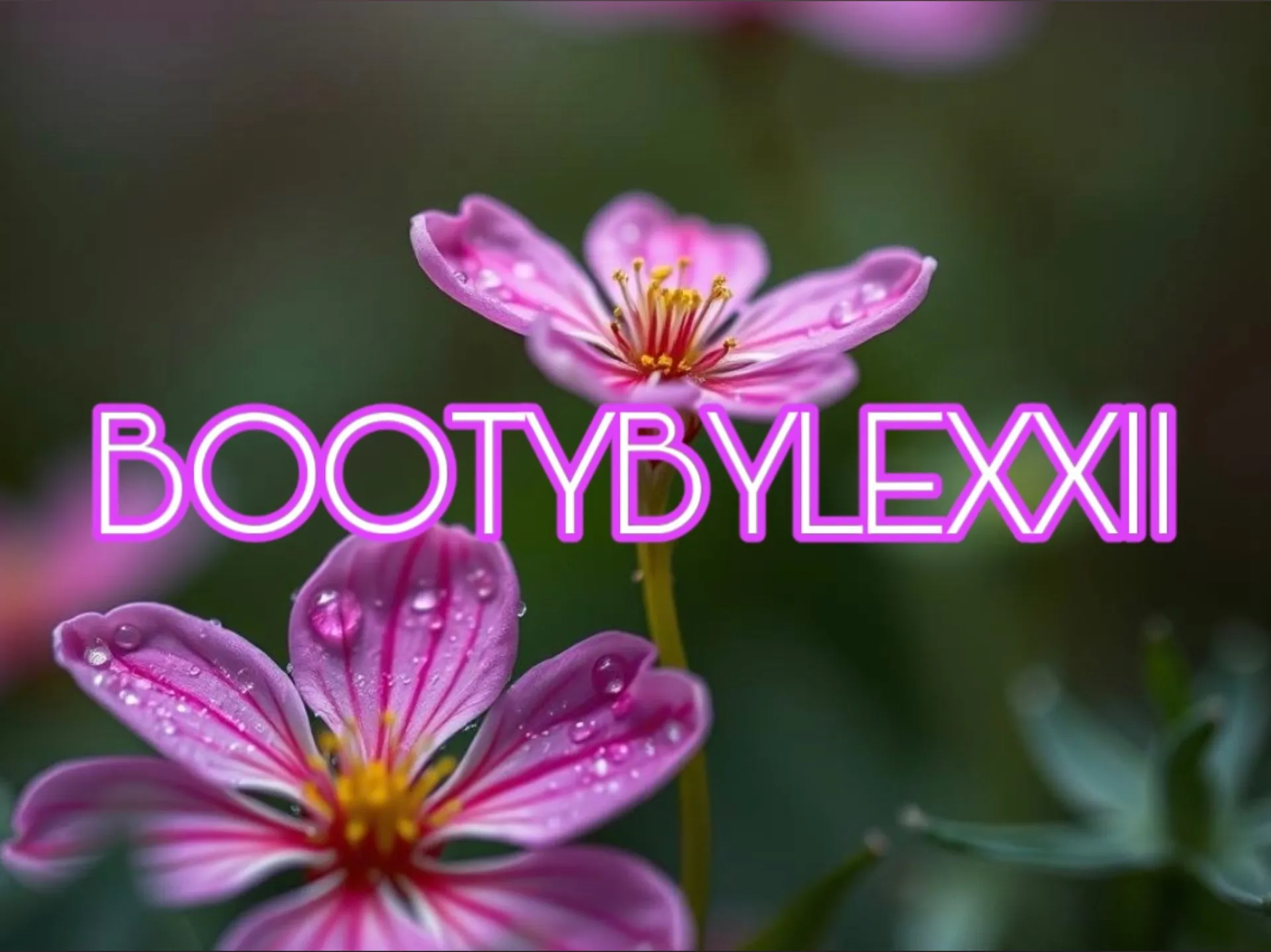 BootyByLexxii OnlyFans header