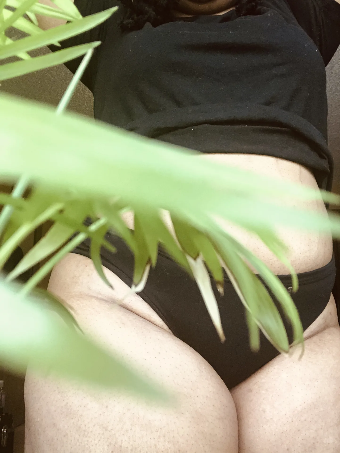 🌱bootyhole fairy (free) 🌱