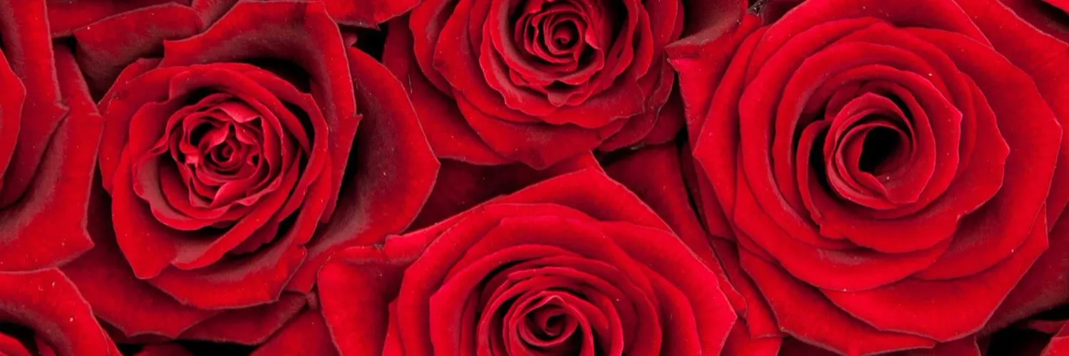 BootyLu OnlyFans header