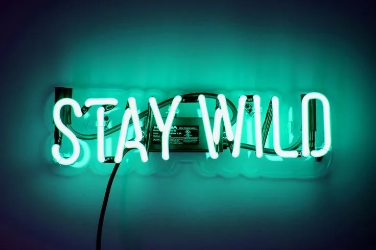 Bootyyyy Babyyyy OnlyFans header