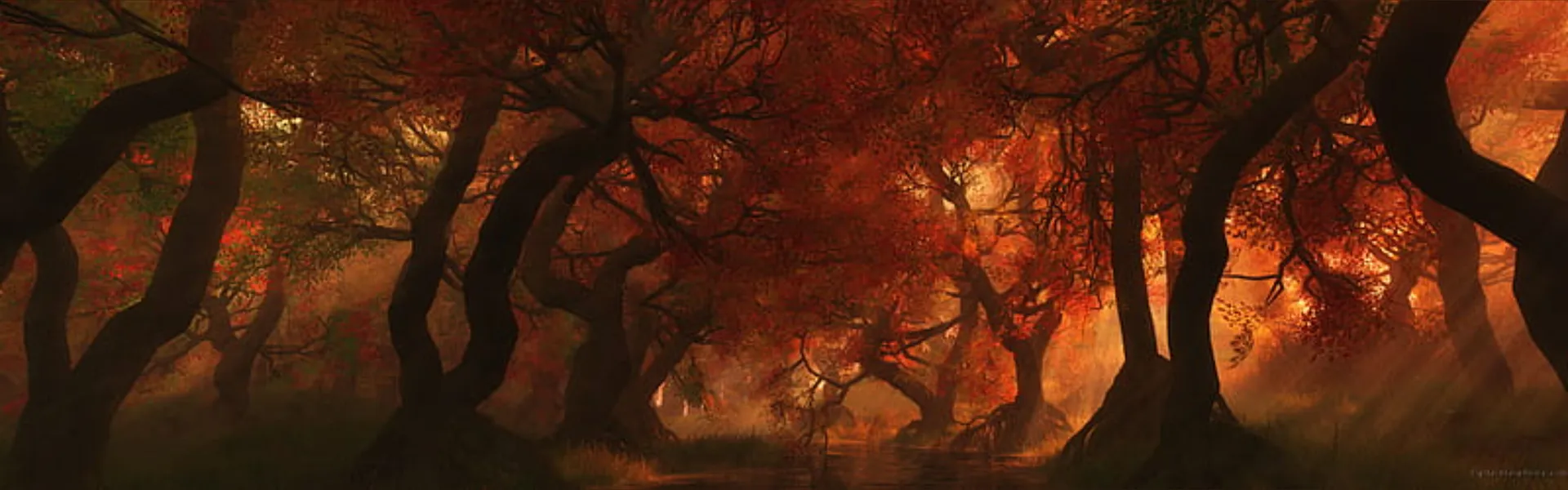 Bóream Bohemian OnlyFans header