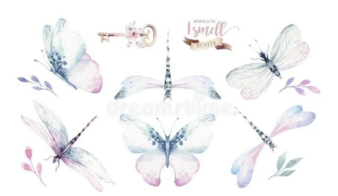 Boricua_Baddiexx OnlyFans header