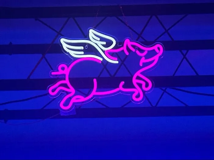 Nico OnlyFans header