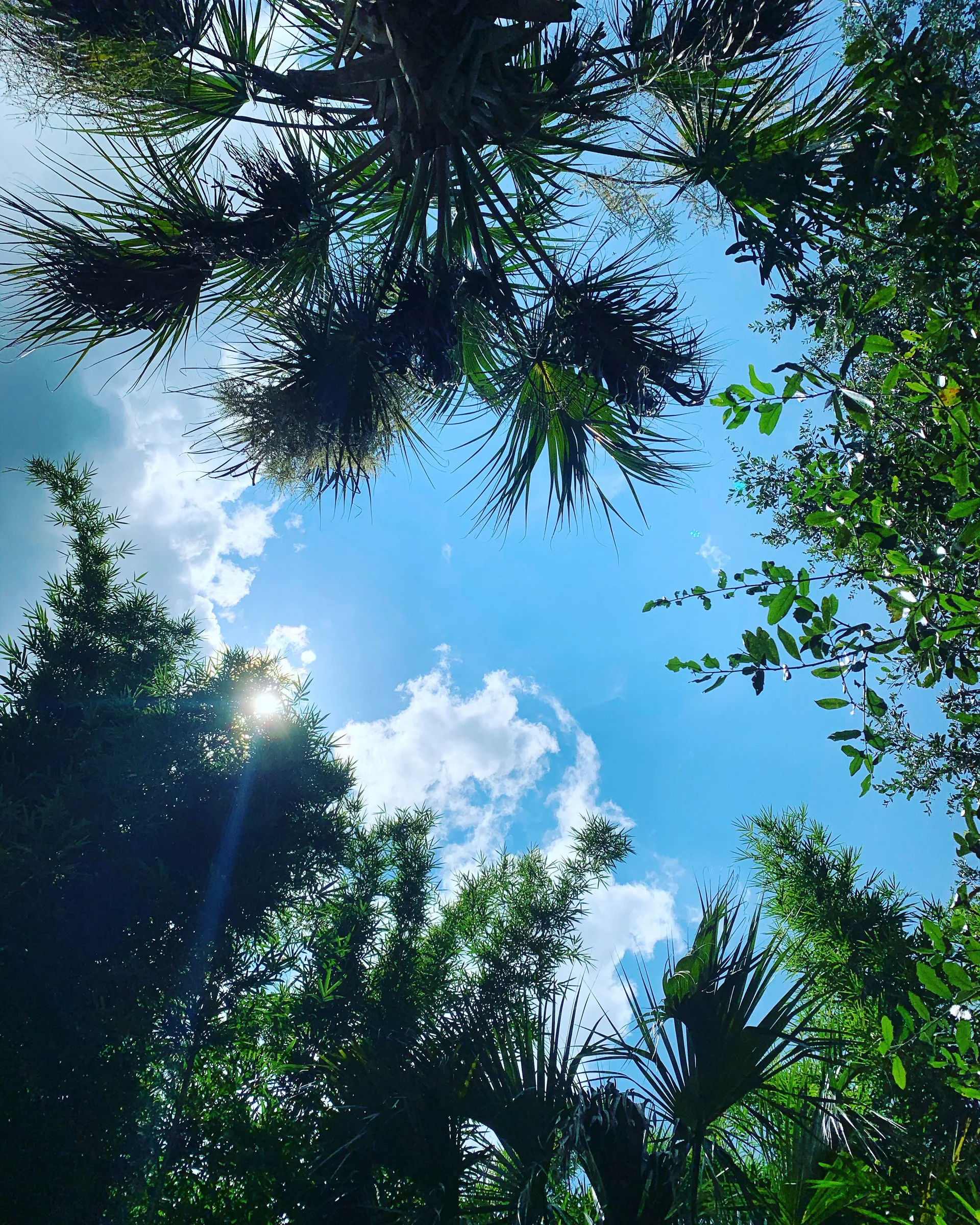 boricuaoso OnlyFans header