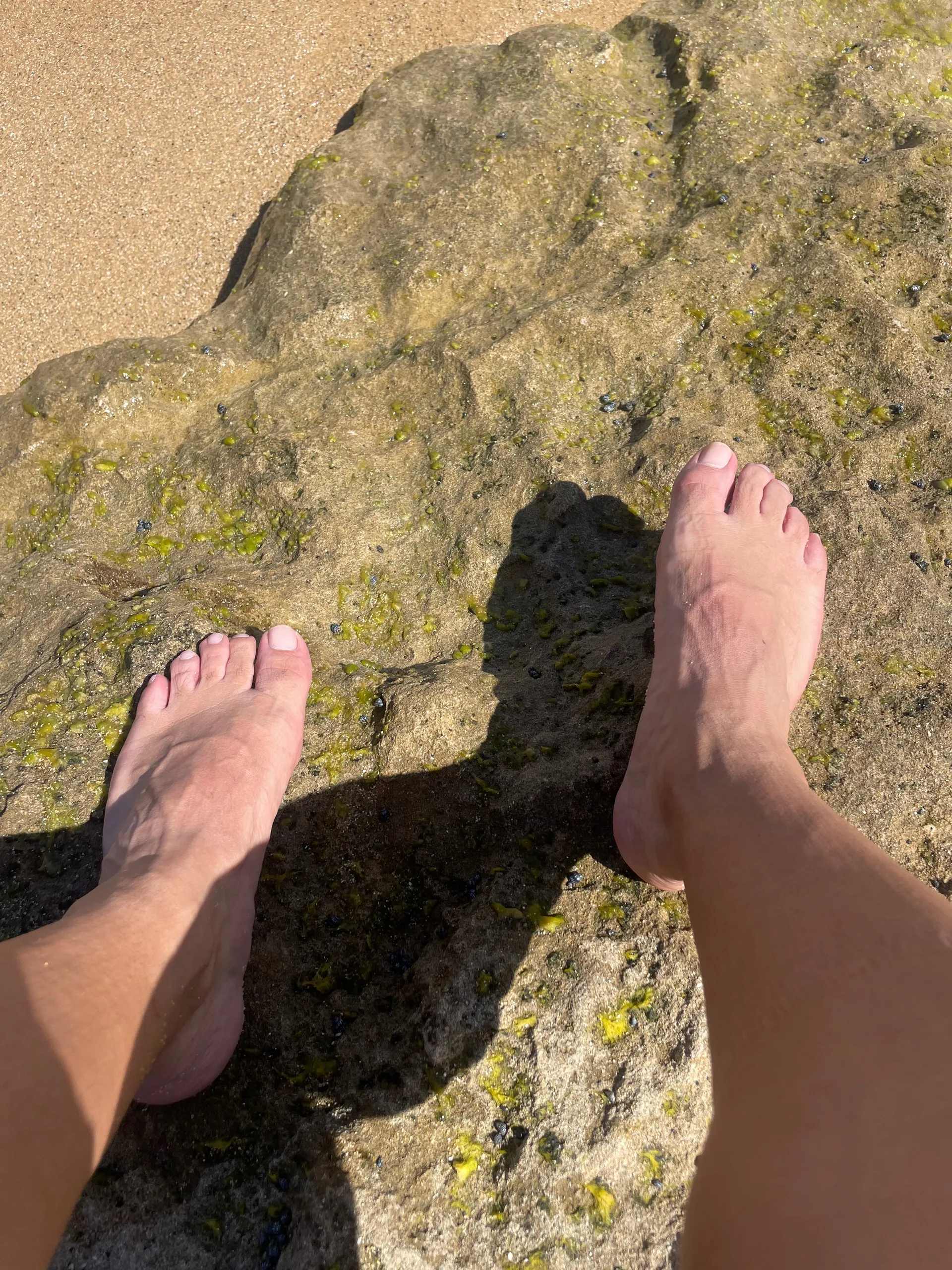 Bori Island Feet OnlyFans header