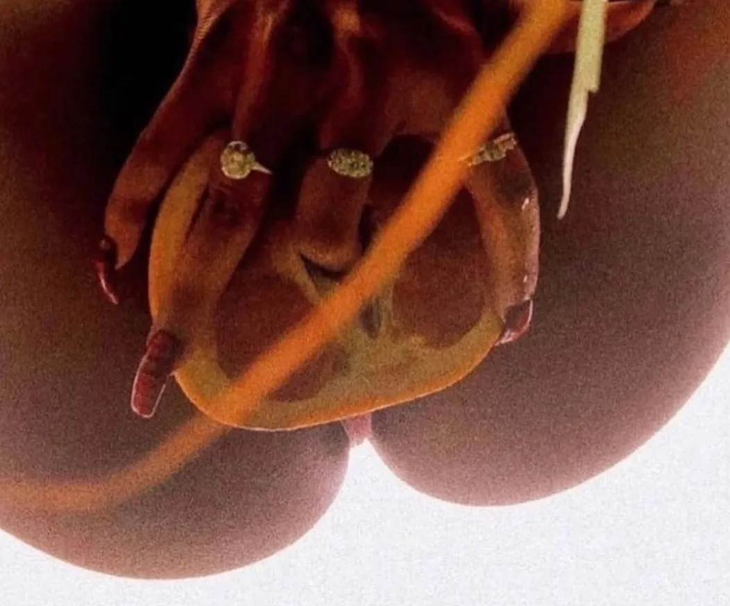 Natasha OnlyFans header