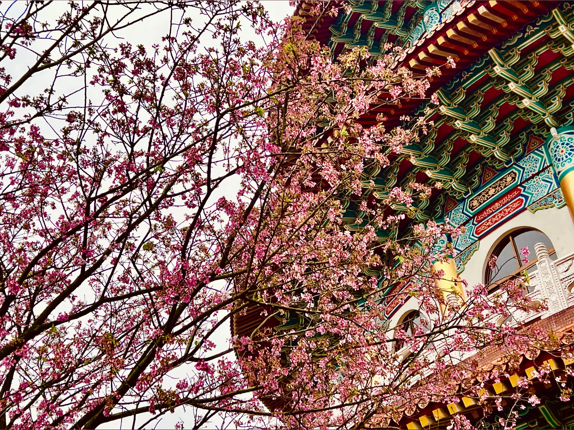 異男Boss OnlyFans header