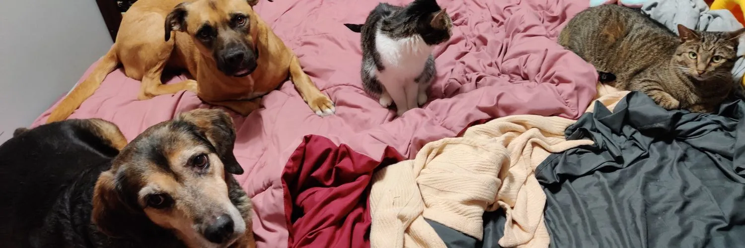 BossBreezy OnlyFans header