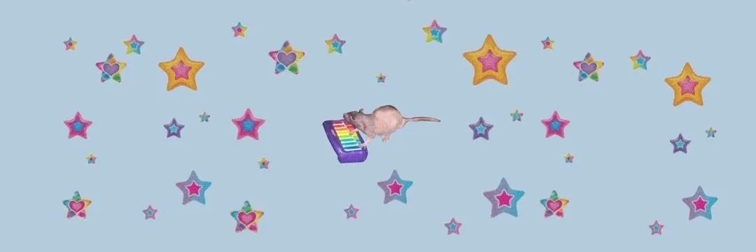 Boston OnlyFans header