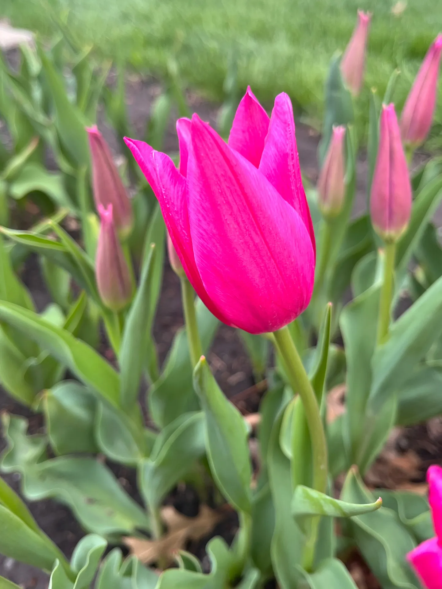 Bourbon Lover of Wisco