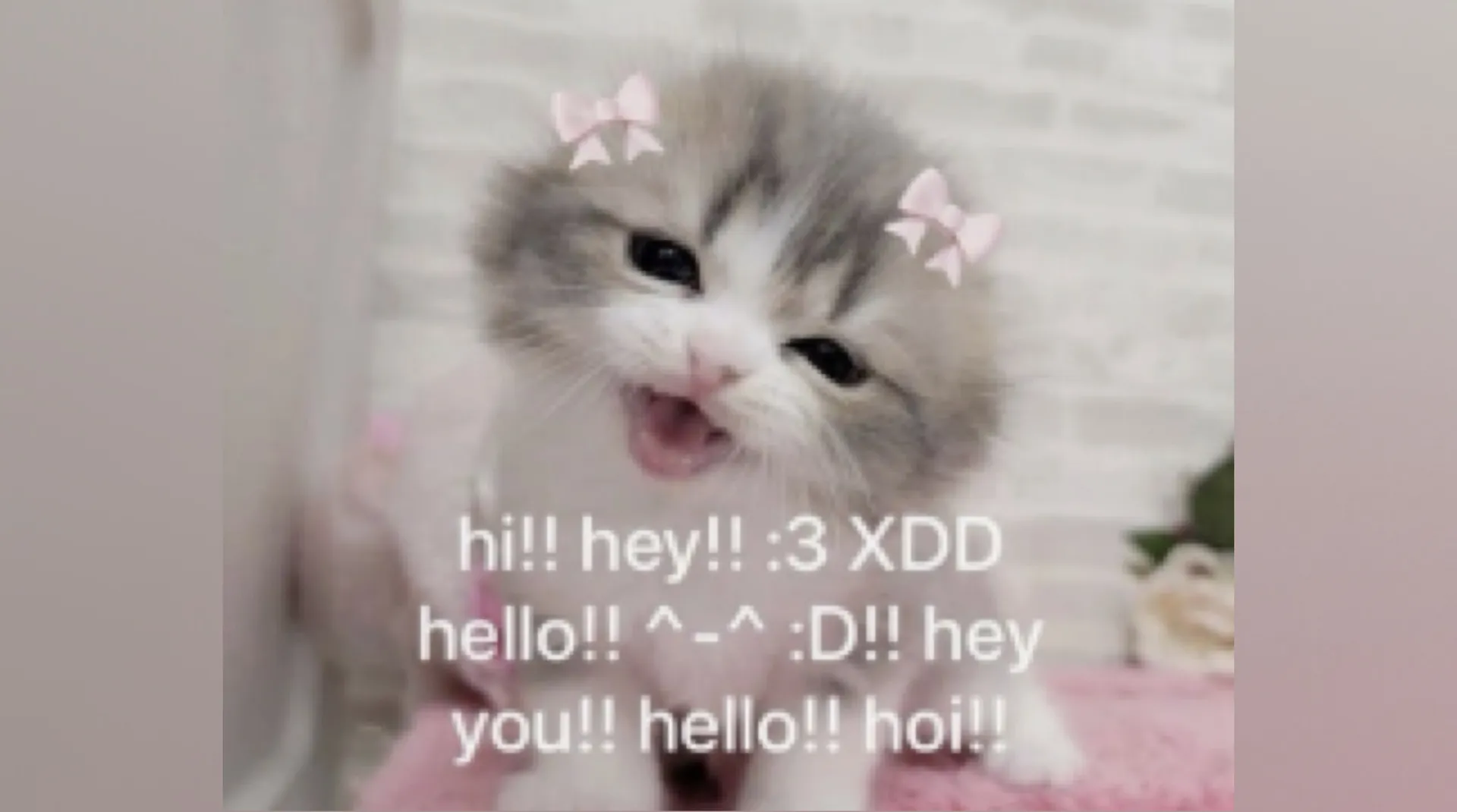 ☆ Kara Bout U ☆ OnlyFans header