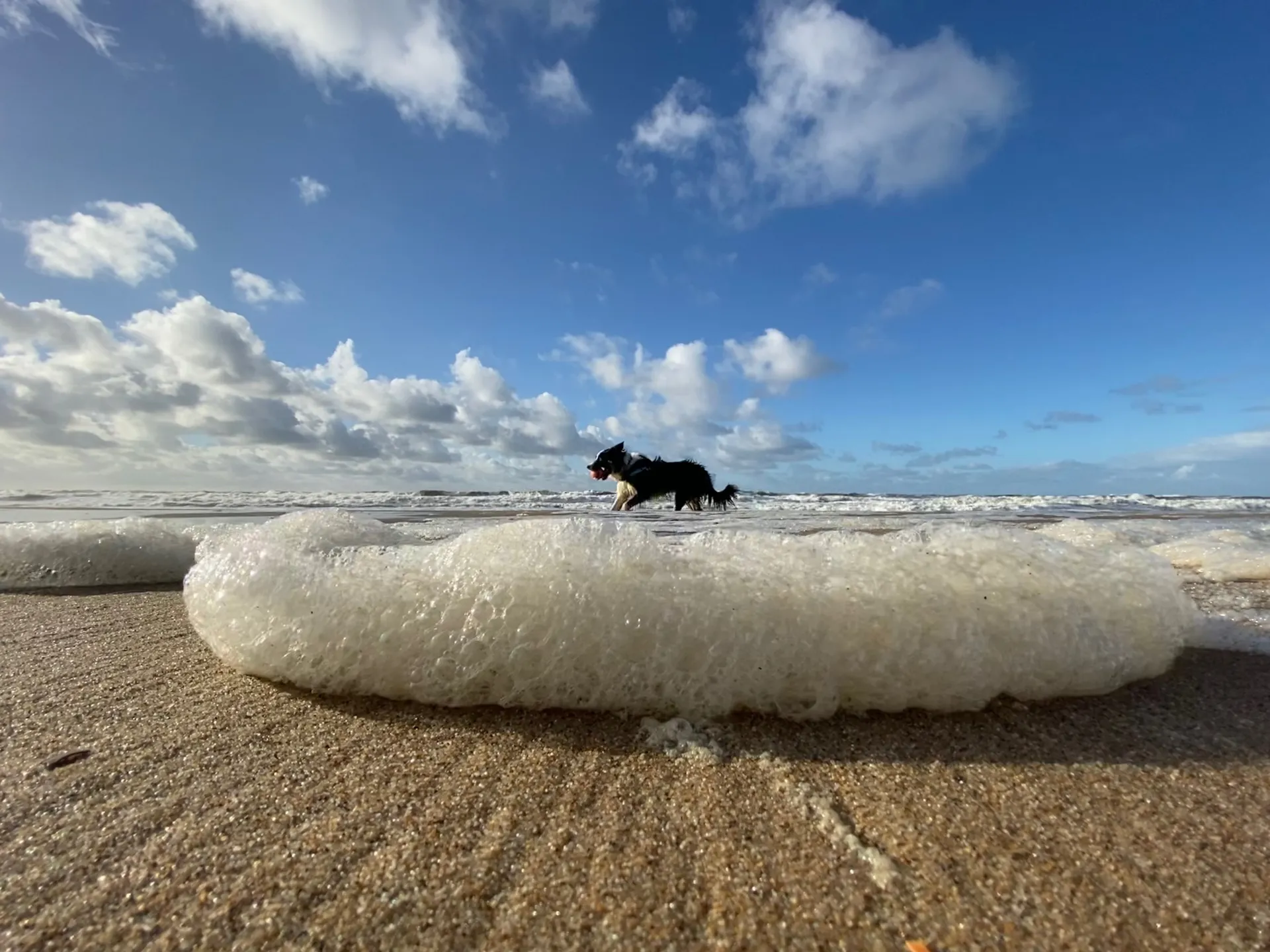 Bowerick Wowbagger OnlyFans header