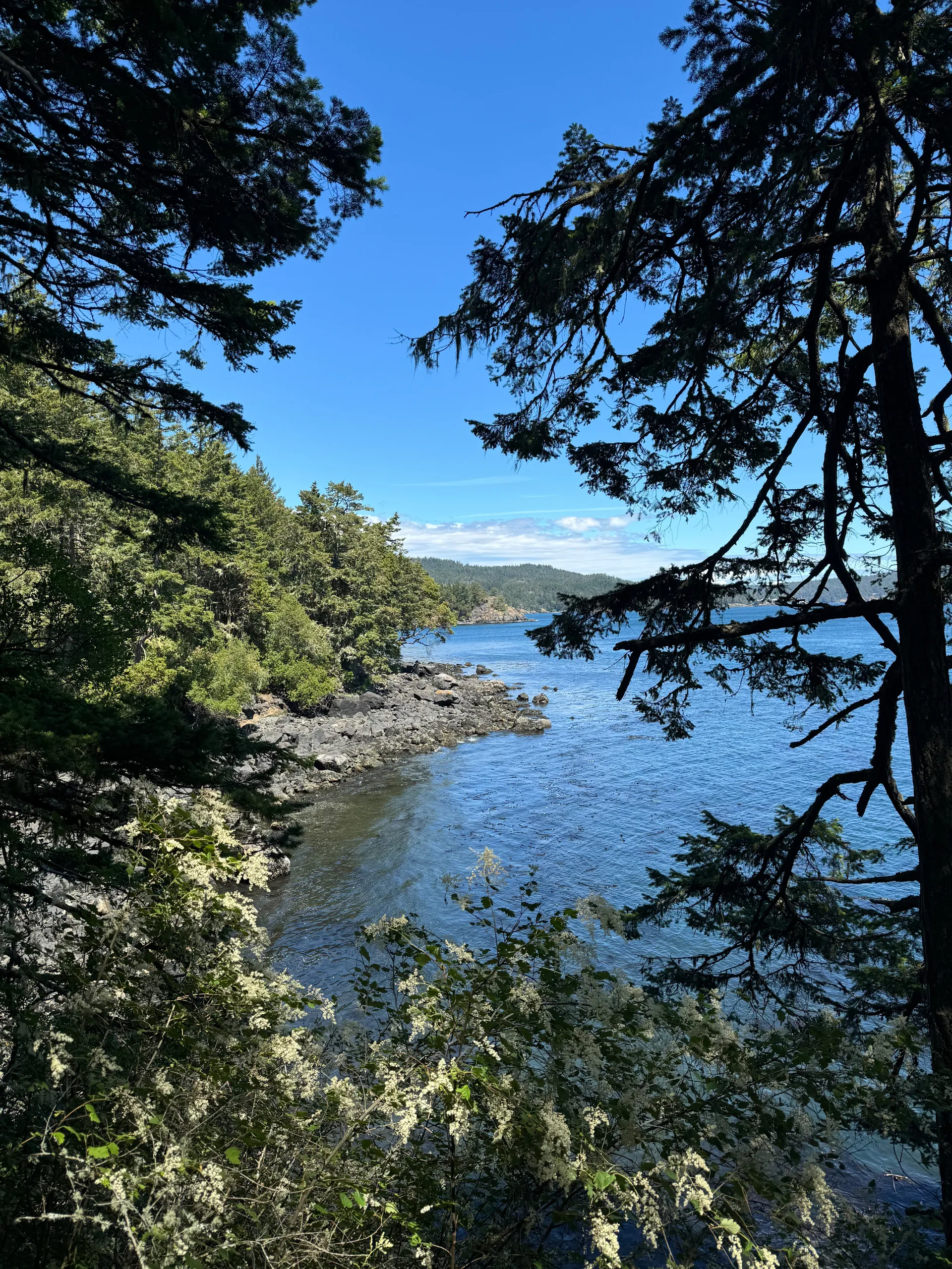 McCoy OnlyFans header