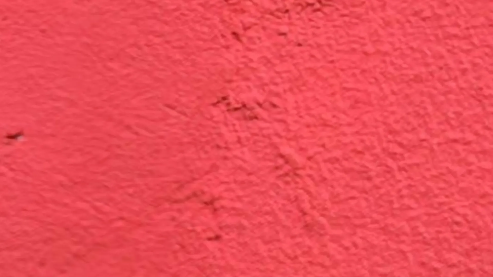 Boy Noche OnlyFans header