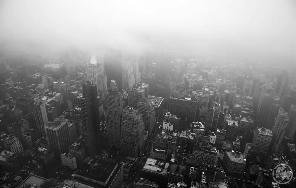 N e p OnlyFans header