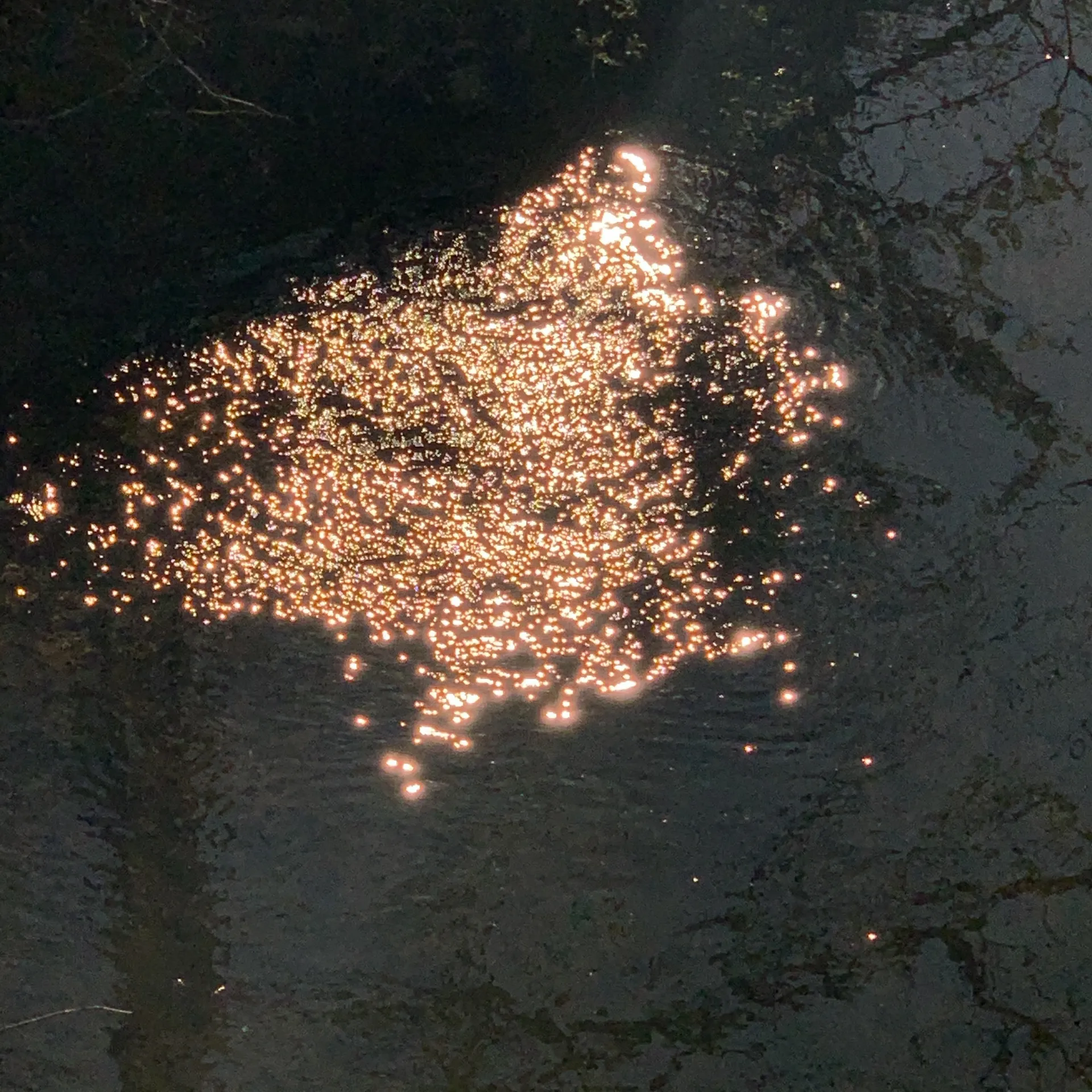 Alex D OnlyFans header