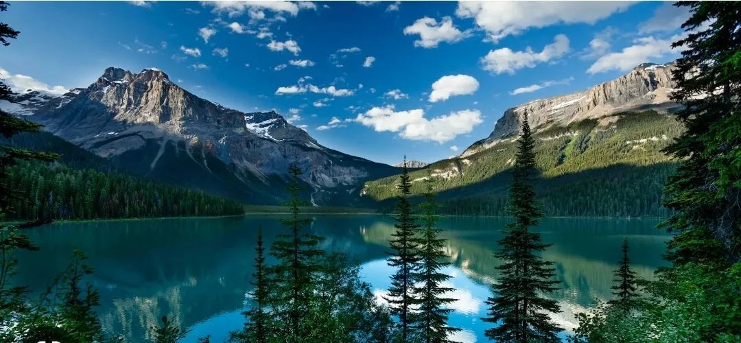 BoyMomma666 OnlyFans header