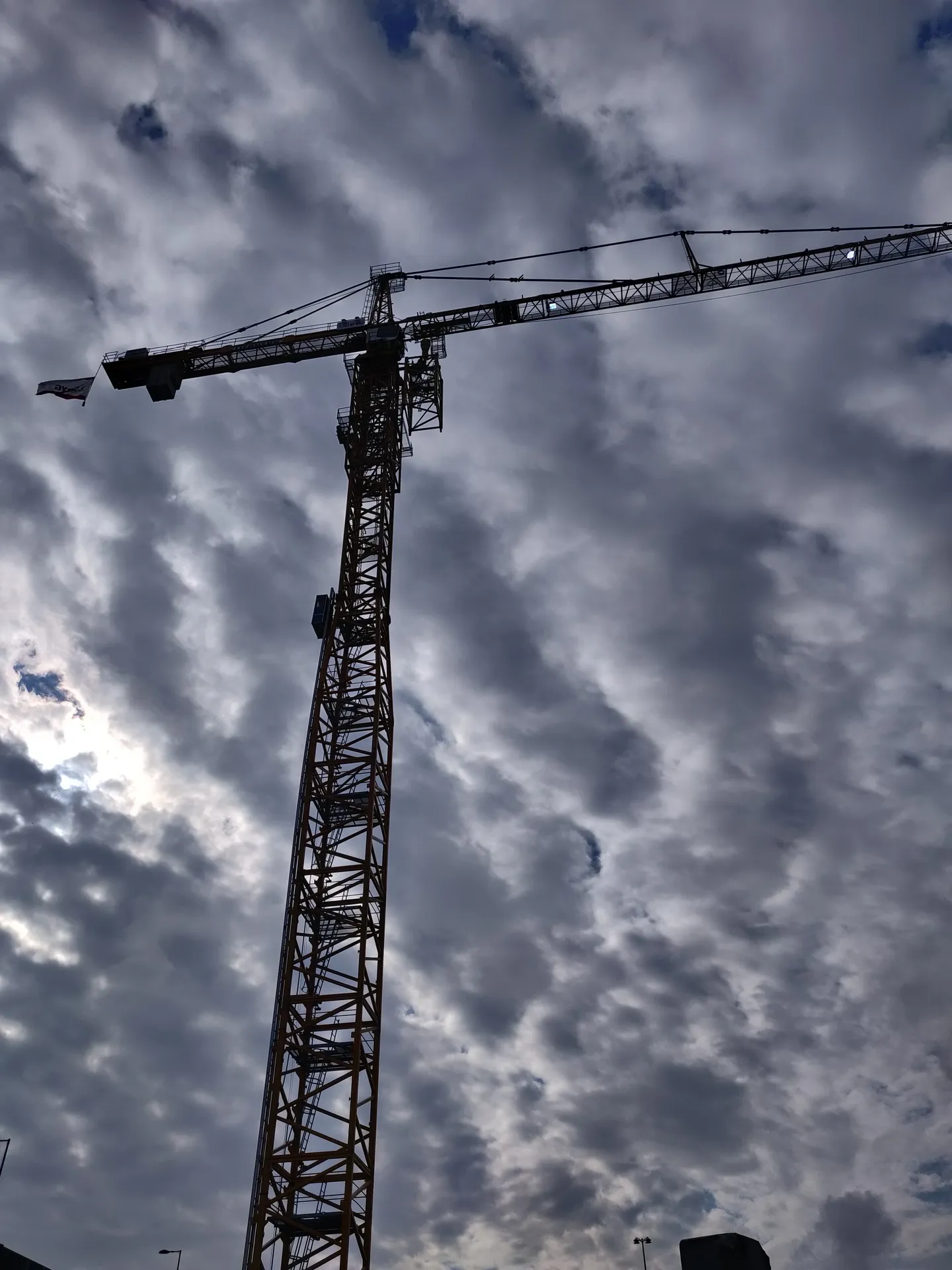 $1 honest rating of dicks &amp; tits