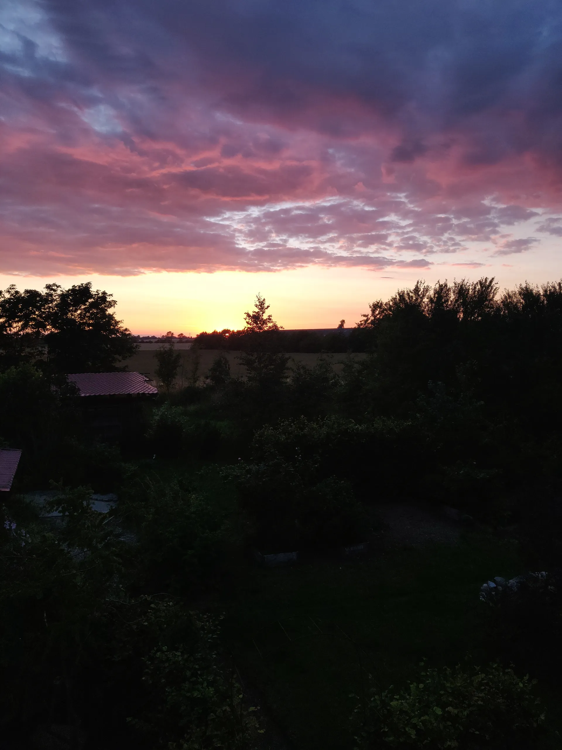 $1 honest rating of dicks &amp; tits OnlyFans header