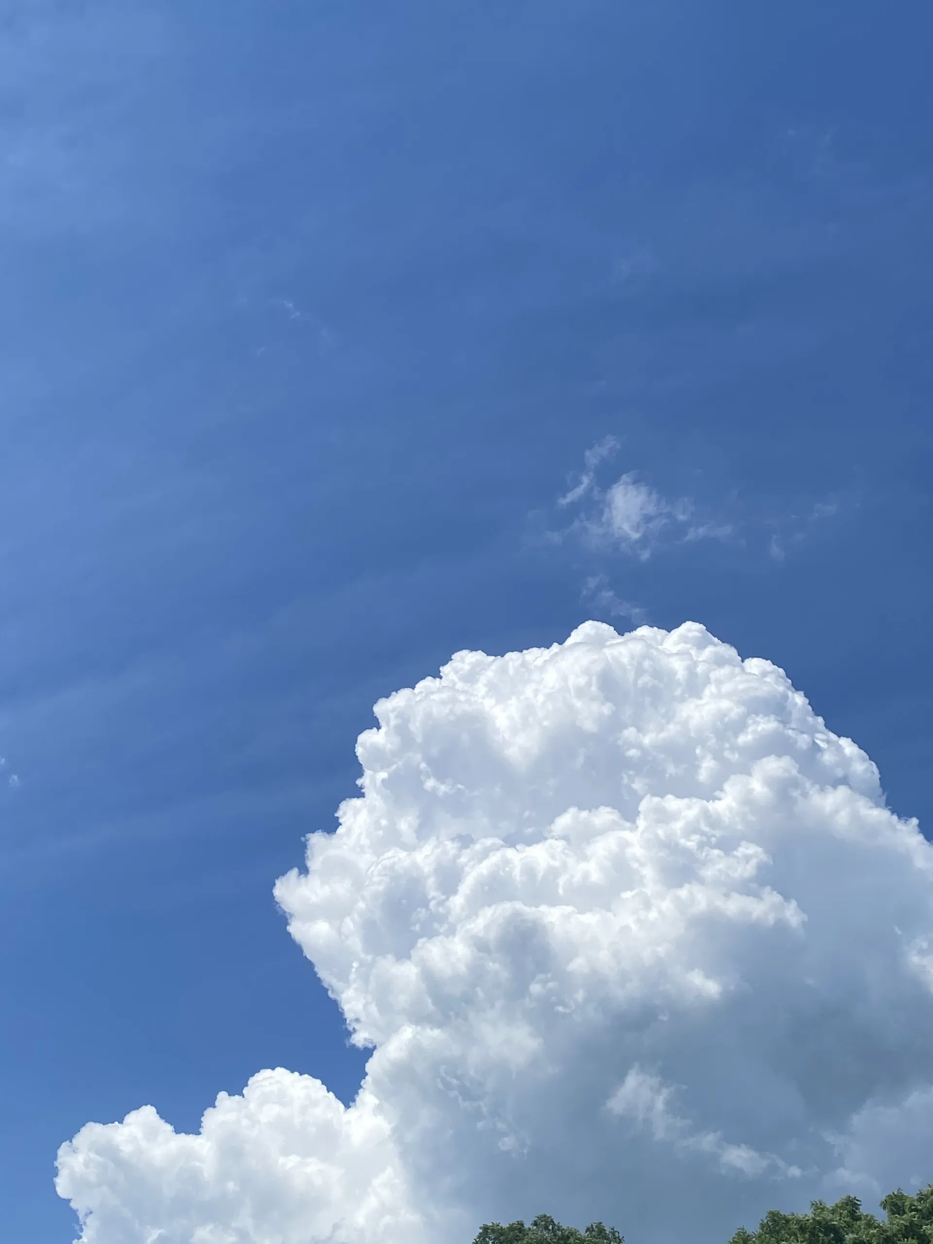 boner boy OnlyFans header