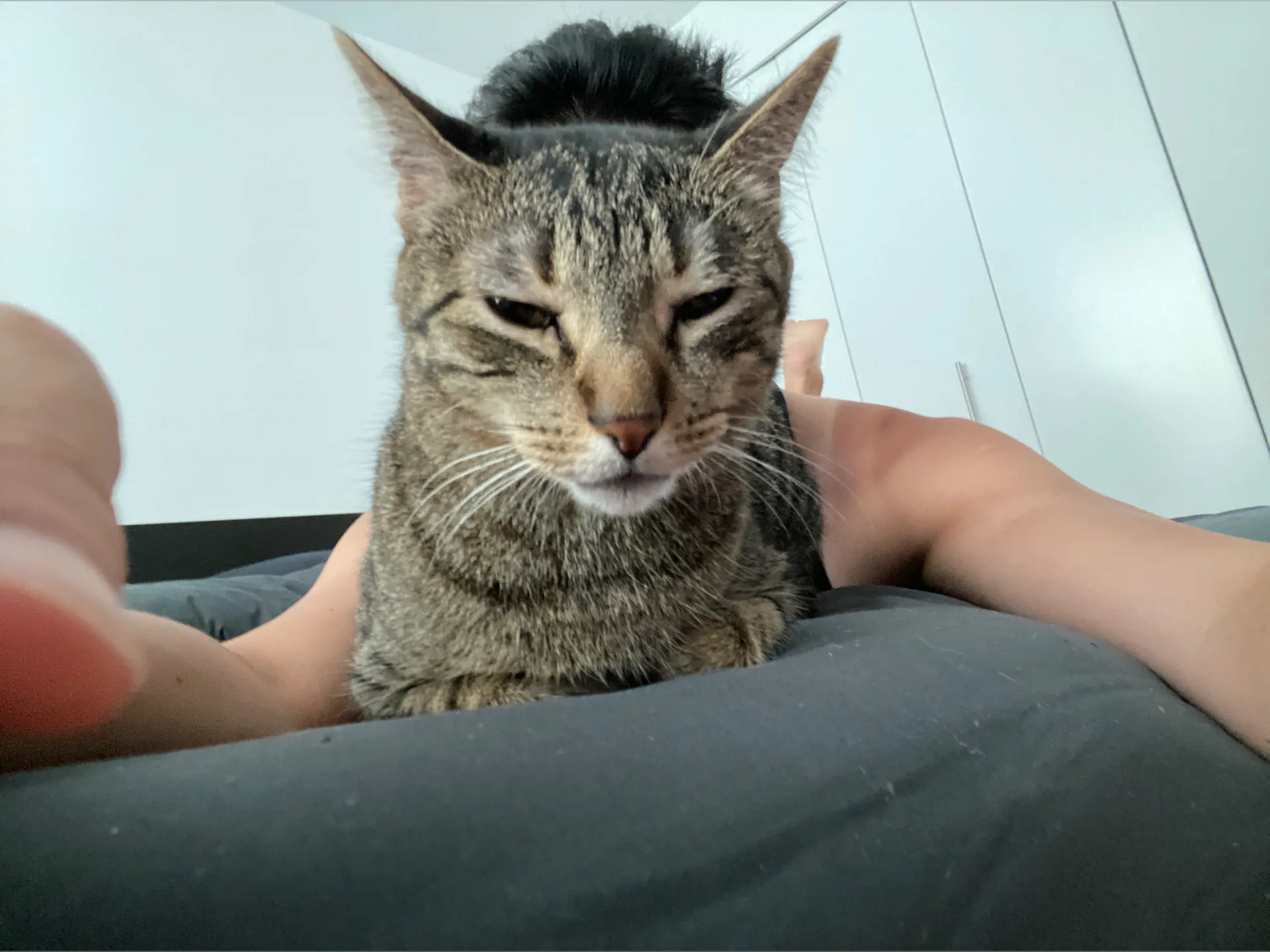 boywithpuss OnlyFans header