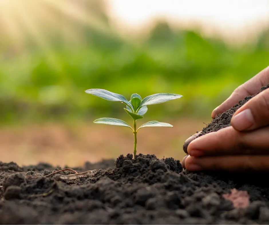 bpDanny OnlyFans header