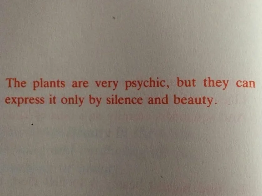 ♡✧ alex ✧♡ OnlyFans header