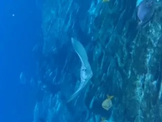 BranBranGoBrazy OnlyFans header