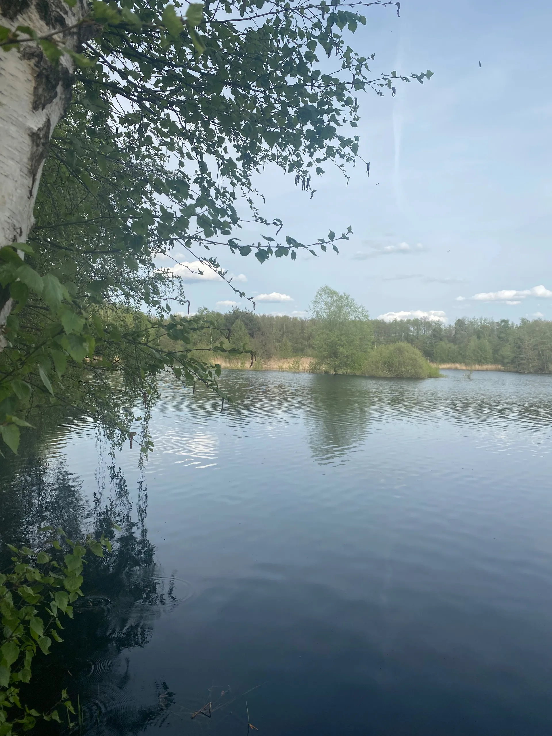 Brat OnlyFans header