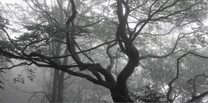 🦴💞 OnlyFans header