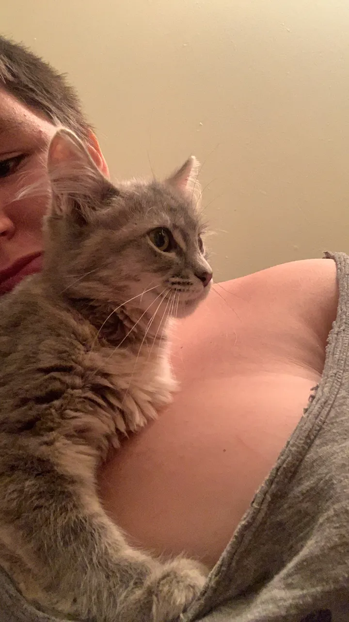 Bratgirl2005 OnlyFans header