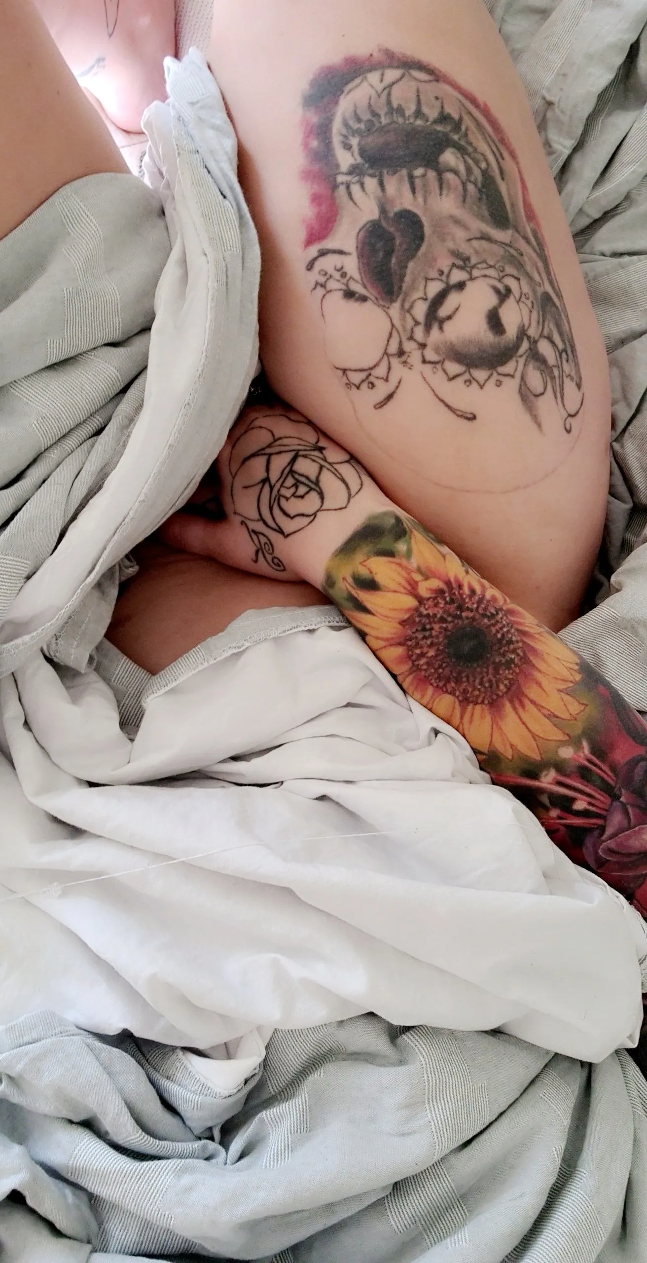 Bambi OnlyFans header