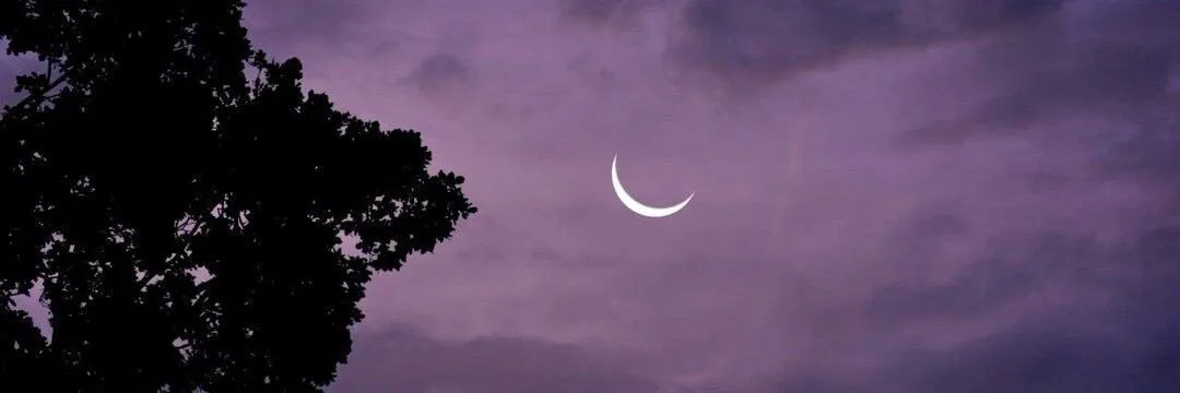 Maddy 🖤 OnlyFans header