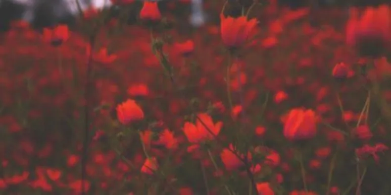 Watch ME FCK 🤭🤍 •NoPPV• OnlyFans header