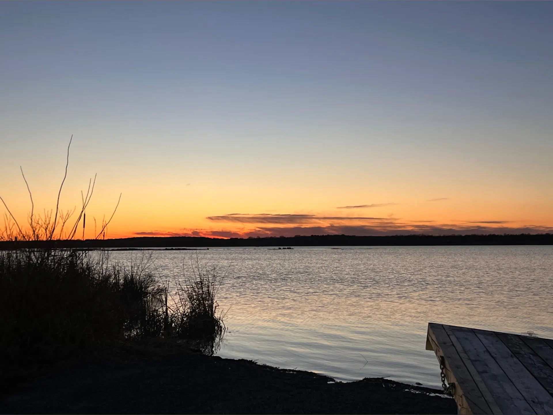 Bree 🍯 OnlyFans header