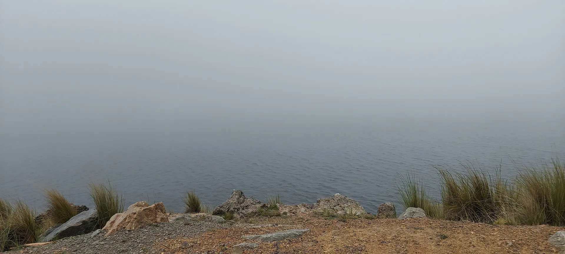 Brendita OnlyFans header