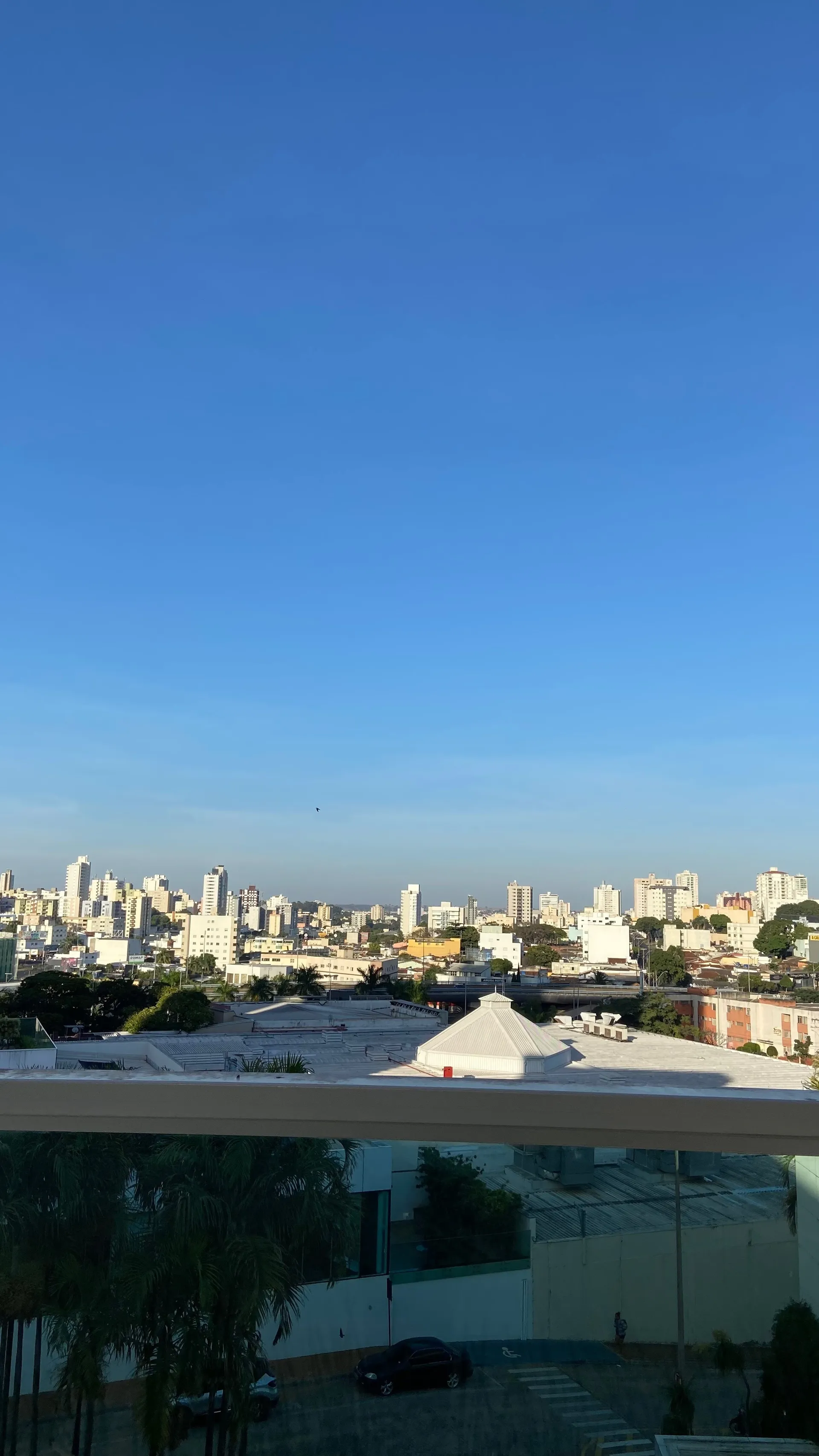 Brenda OnlyFans header