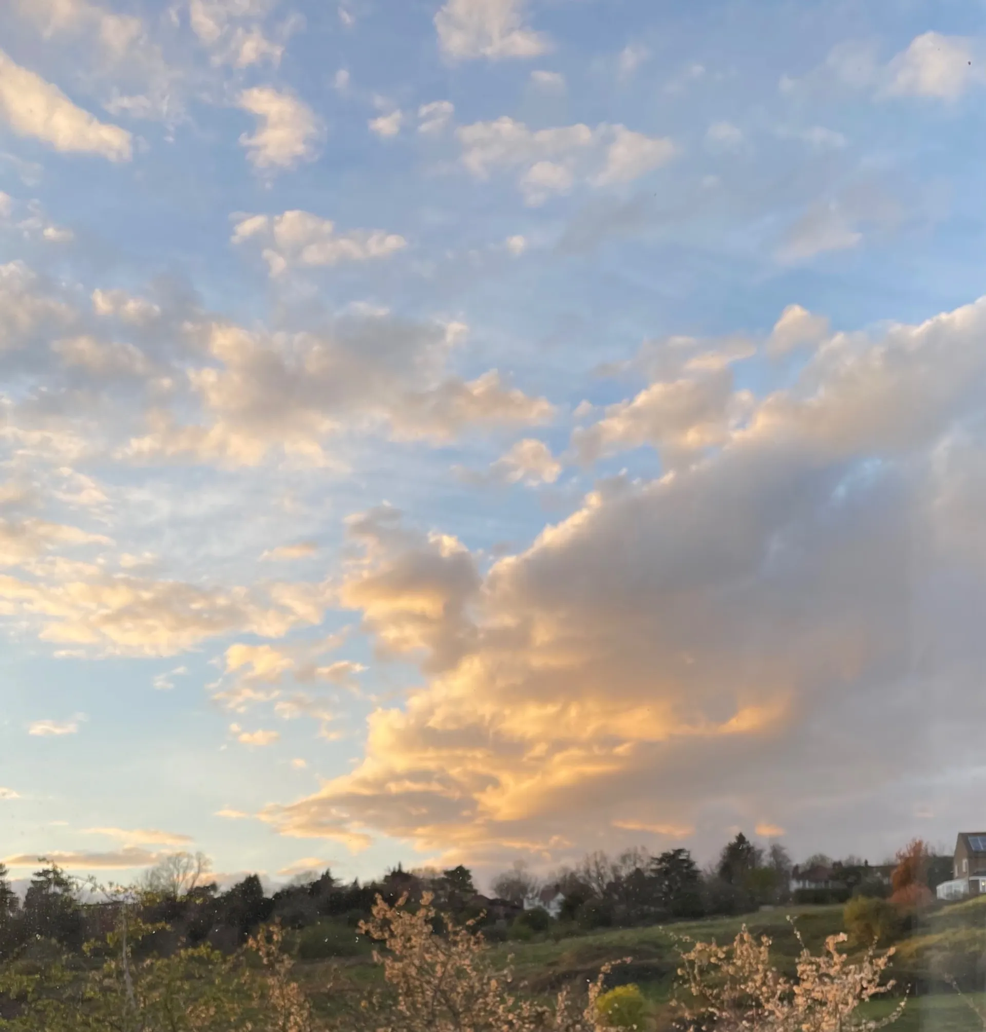 Brett OnlyFans header