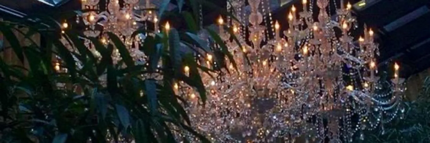 Bri Bri OnlyFans header