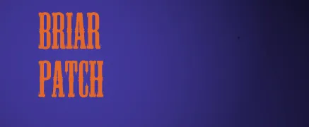 Briar OnlyFans header