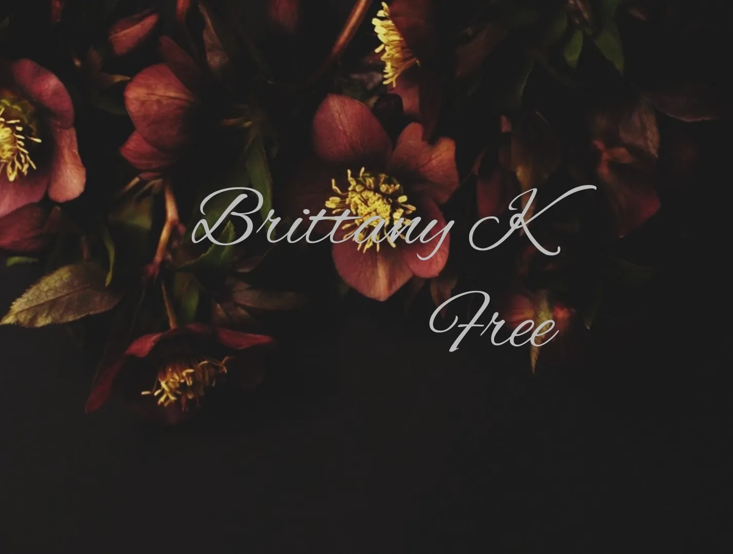 Brittany K OnlyFans header