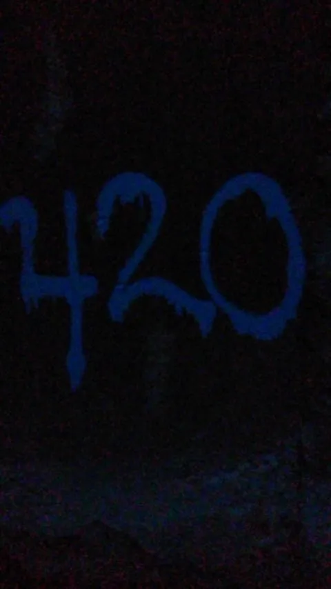 BDSM bunny OnlyFans header