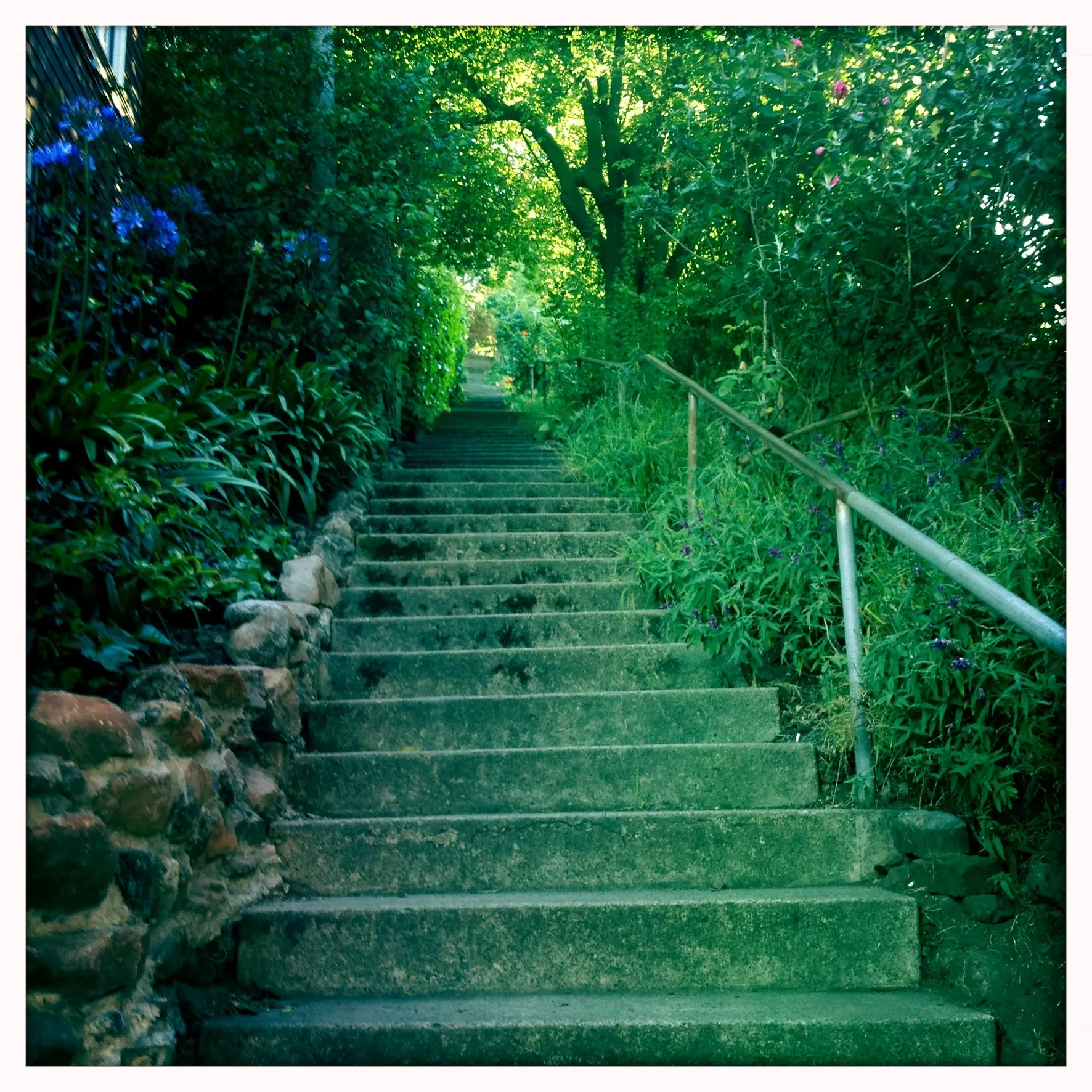 Brogan Daly OnlyFans header