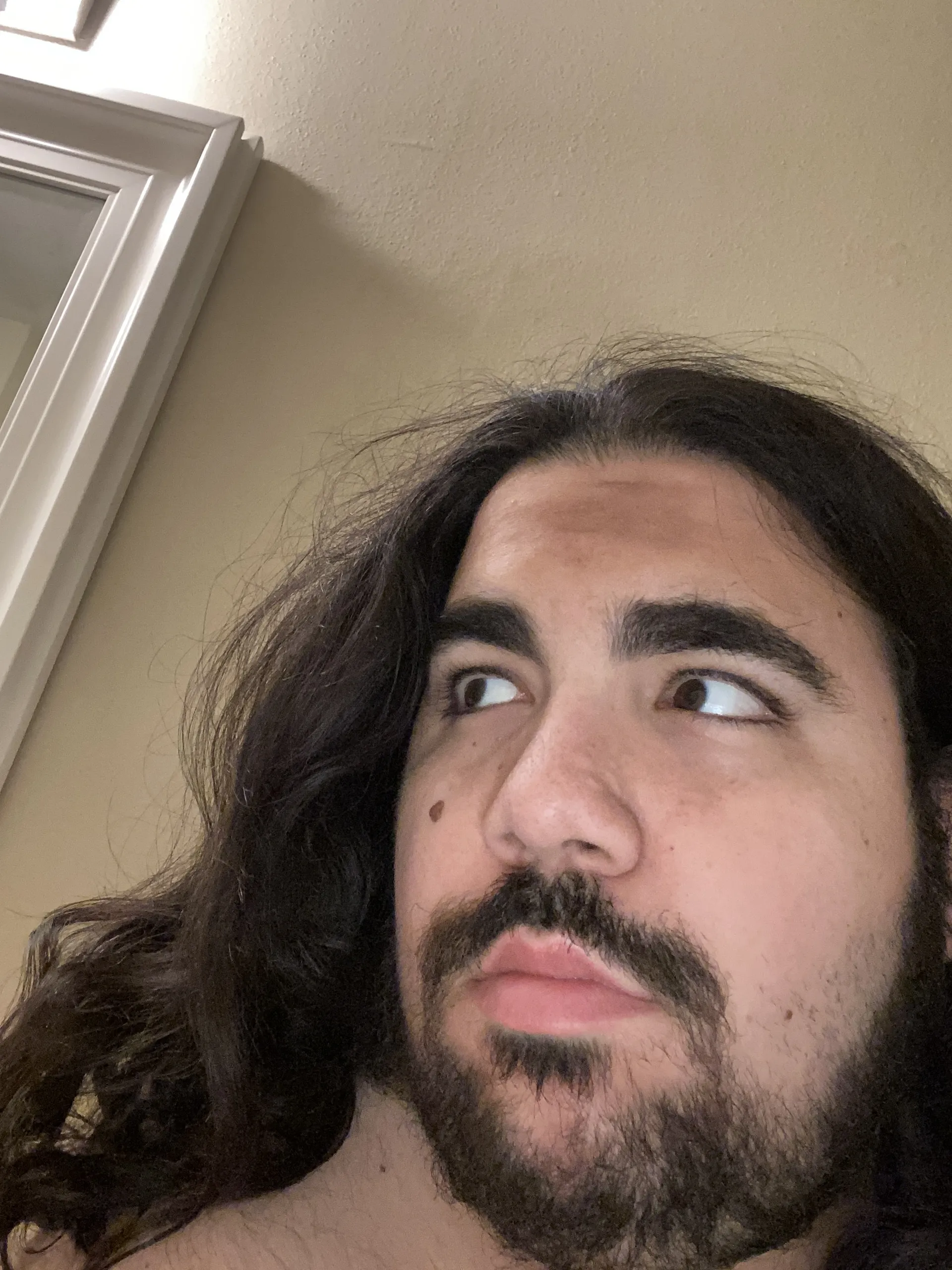 BroncoBottom OnlyFans header