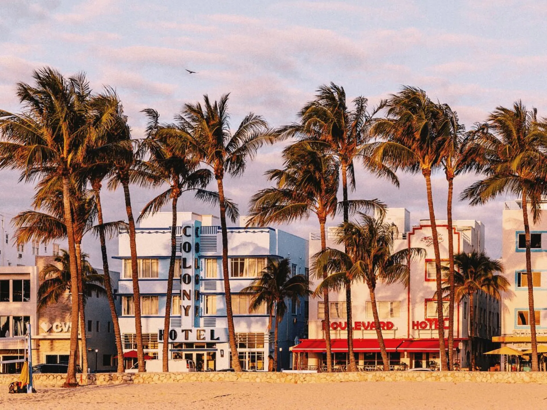 Brooke Kora OnlyFans header