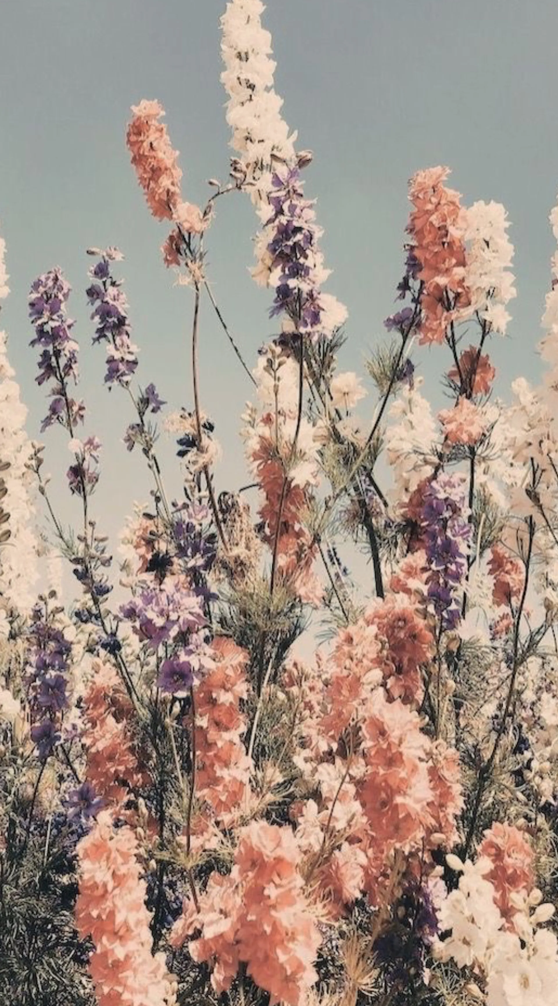 Brookelynn Sue 😜 OnlyFans header