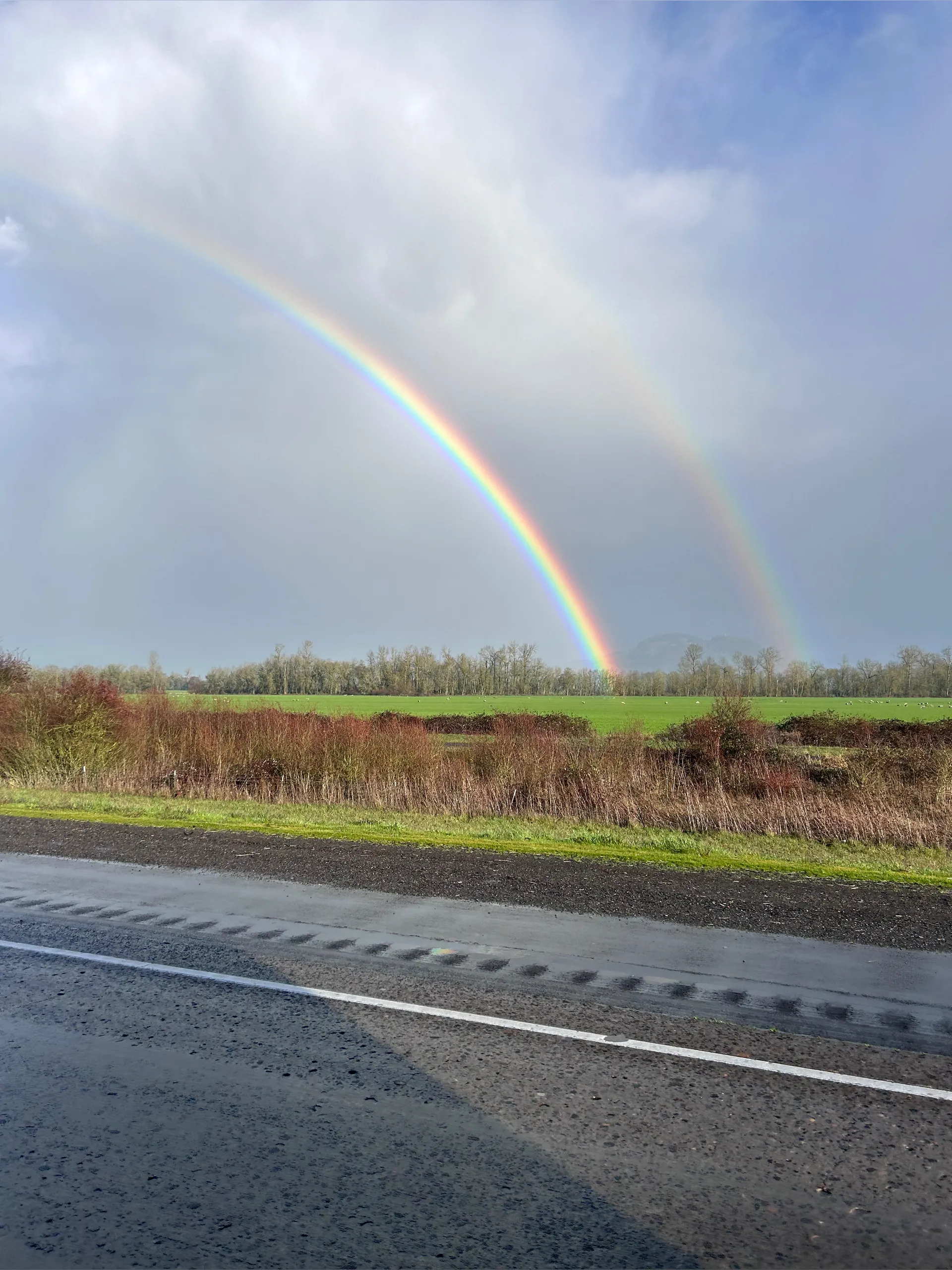 Brooklyn 🐝 OnlyFans header