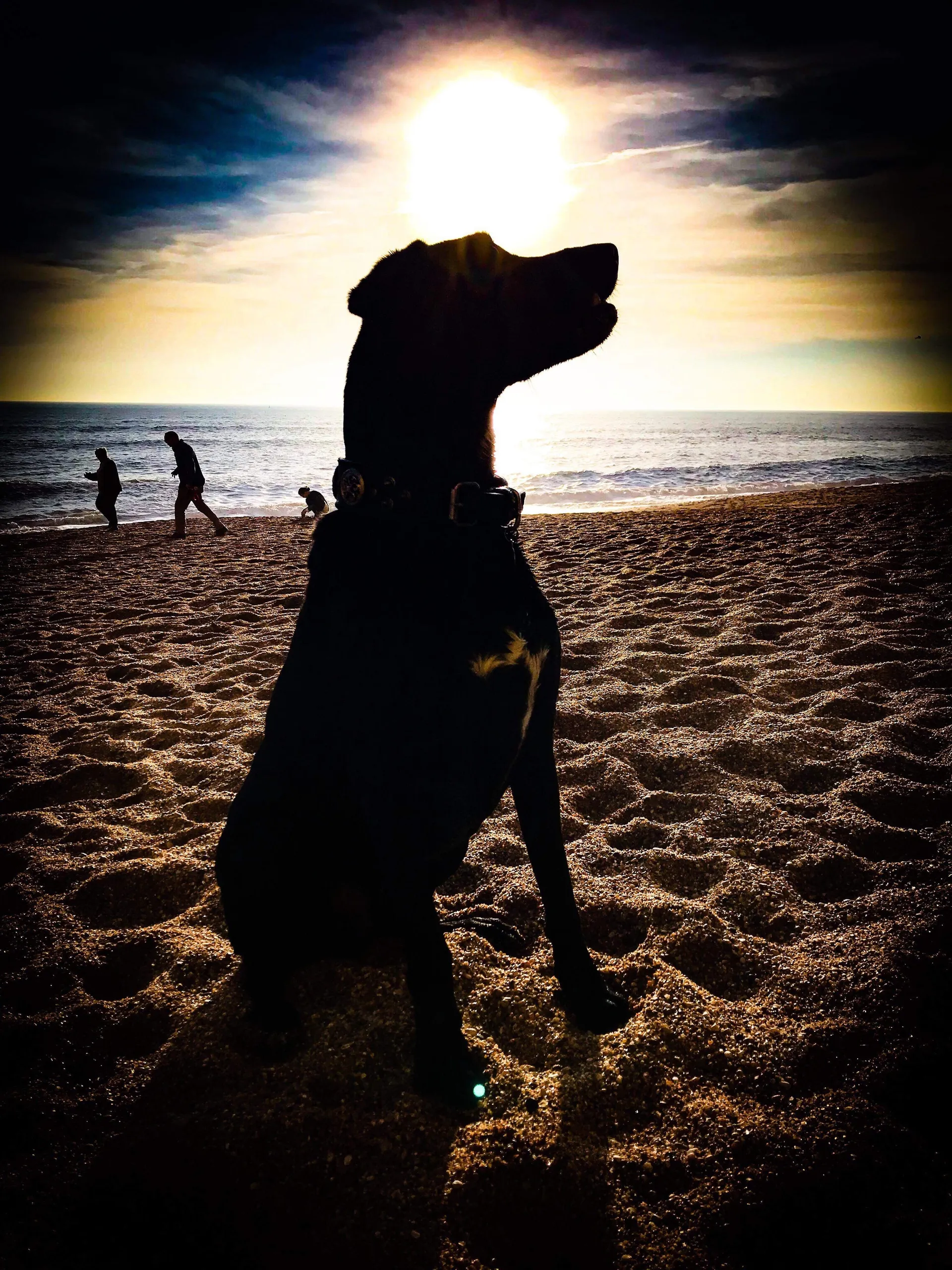 Daniel Brooks OnlyFans header